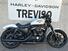 Harley-Davidson 883 Iron (2017 - 20) - XL 883N (7)