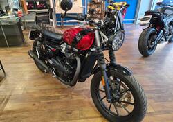 Triumph Speed Twin 900 (2023 - 24) usata