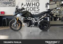 Triumph Tiger 900 Rally Pro (2024) usata