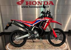 Honda CRF 300 Rally (2021 - 24) usata