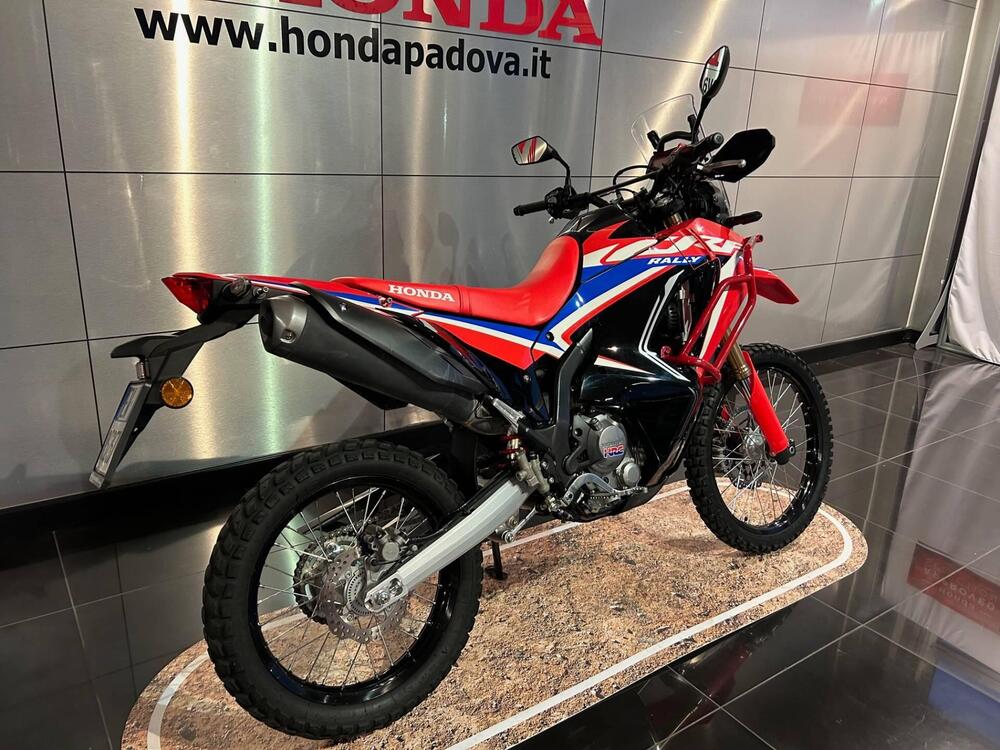 Honda CRF 300 Rally (2021 - 24) (2)