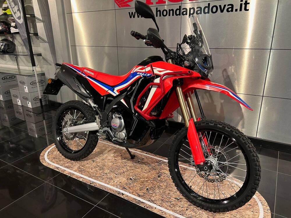 Honda CRF 300 Rally (2021 - 24) (3)