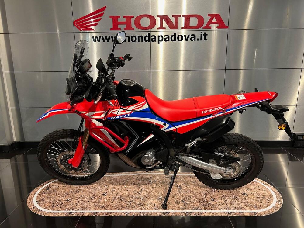 Honda CRF 300 Rally (2021 - 24) (4)