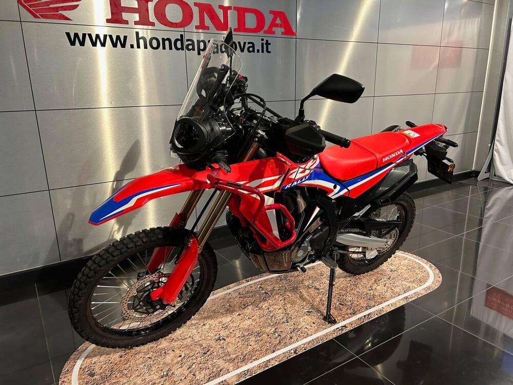 Honda CRF 300 Rally (2021 - 24) (5)