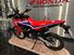 Honda CRF 300 Rally (2021 - 24) (6)