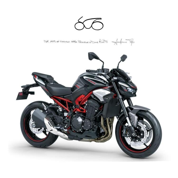 Kawasaki Z 900 (2021 - 24)