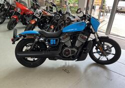 Harley-Davidson Nightster (2023 - 24) usata