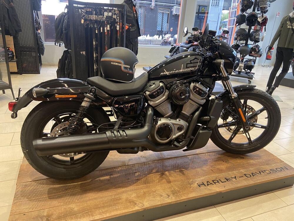 Harley-Davidson Nightster (2023 - 24)