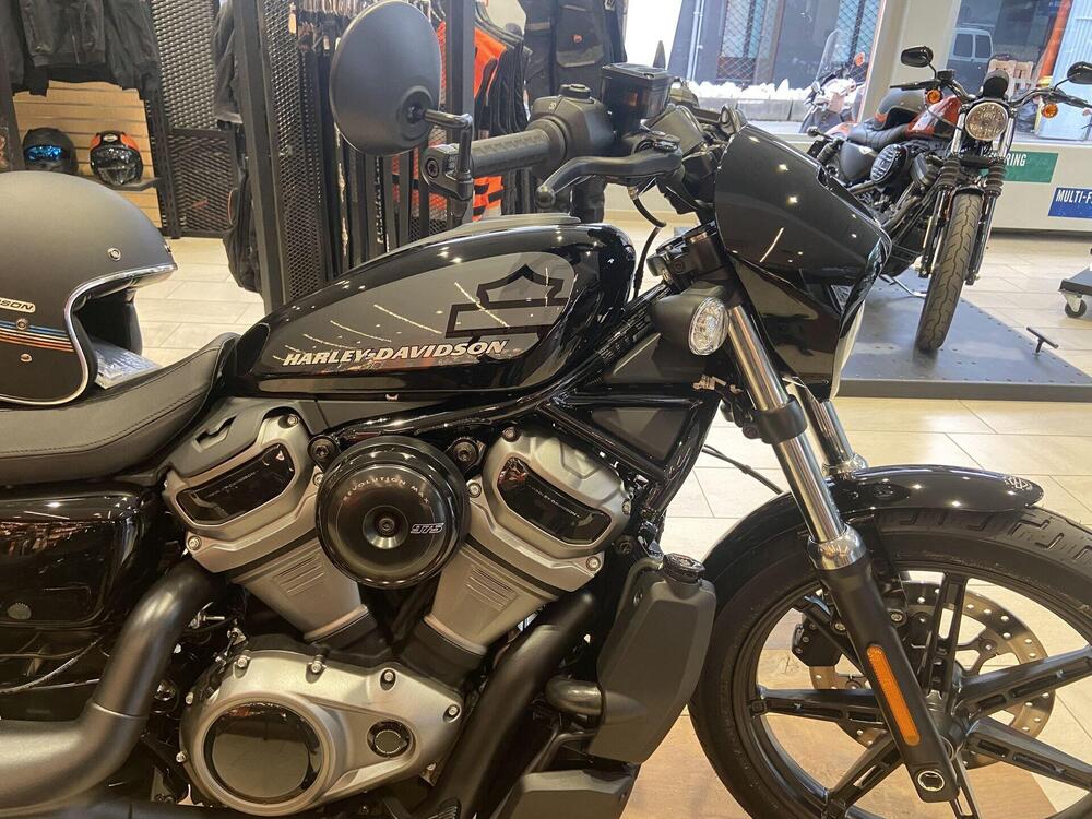 Harley-Davidson Nightster (2023 - 24) (2)