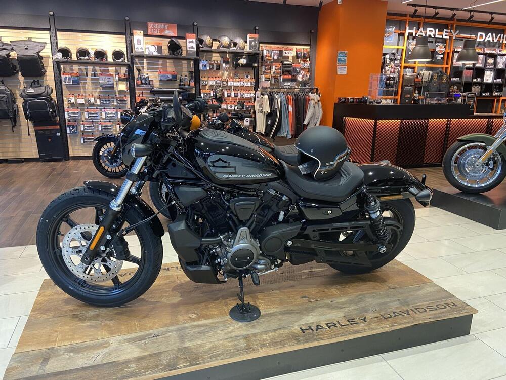 Harley-Davidson Nightster (2023 - 24) (4)