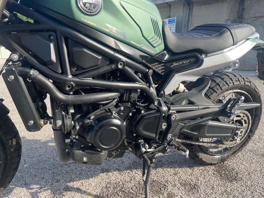 Benelli Leoncino 800 Trail (2022 - 24) (3)