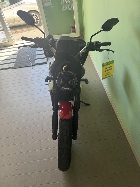 Ducati Scrambler 800 Icon (2023 - 24) (5)