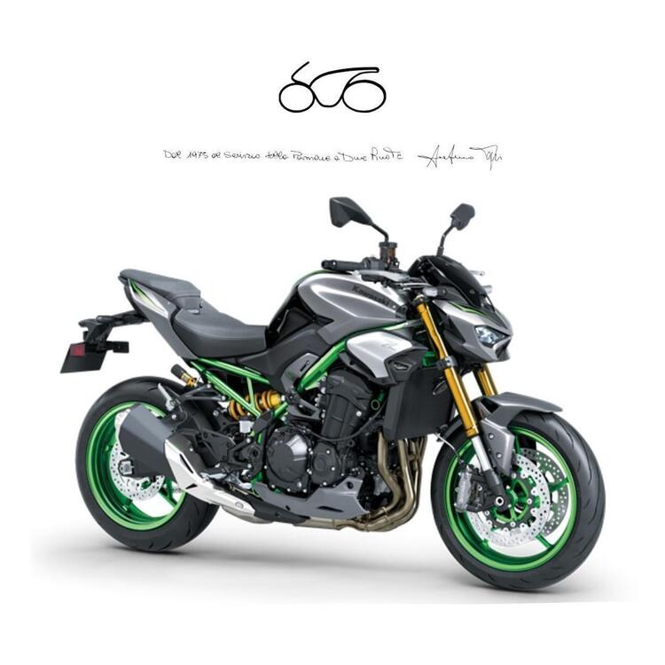 Kawasaki Z 900 (2021 - 24)