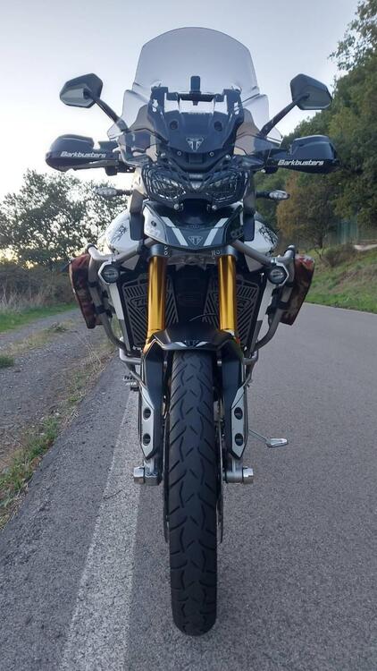 Triumph Tiger 900 Rally Pro (2020 - 23) (5)