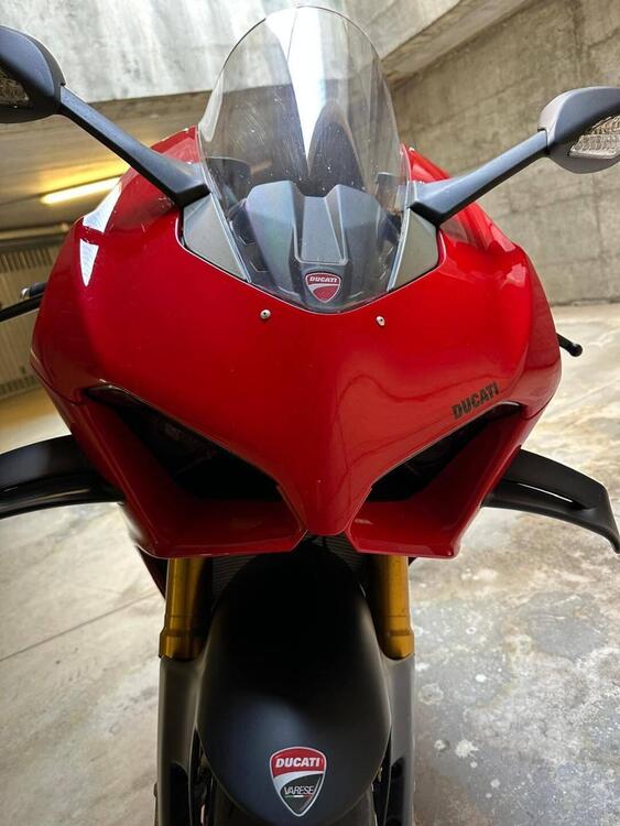 Ducati Panigale V4 S (2022 - 24) (4)