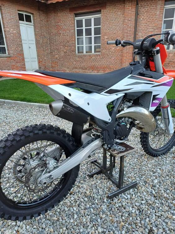 KTM SX 125 (2024) (3)