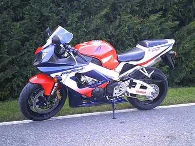 Honda CBR 900 RR Fireblade (2000 - 01) usata