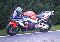 Honda CBR 900 RR Fireblade (2000 - 01) usata