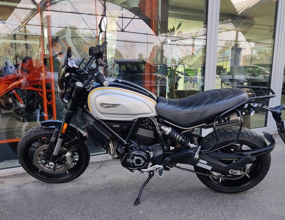 Ducati Scrambler 1100 (2018 - 20) (3)