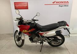 Honda NX 650 Dominator (1996 - 02) usata