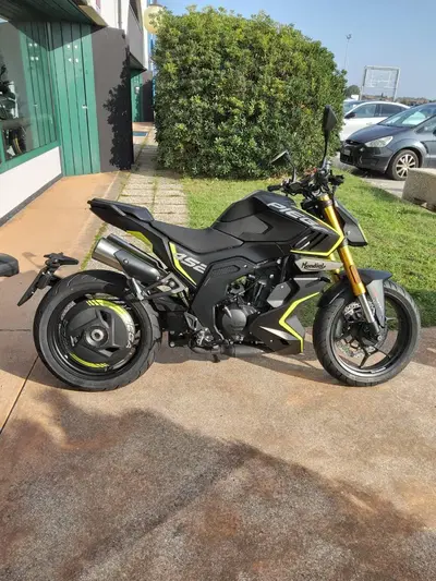 FB Mondial Piega 452 (2024) nuova