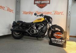 Harley-Davidson Nightster Special (2023 - 24) usata