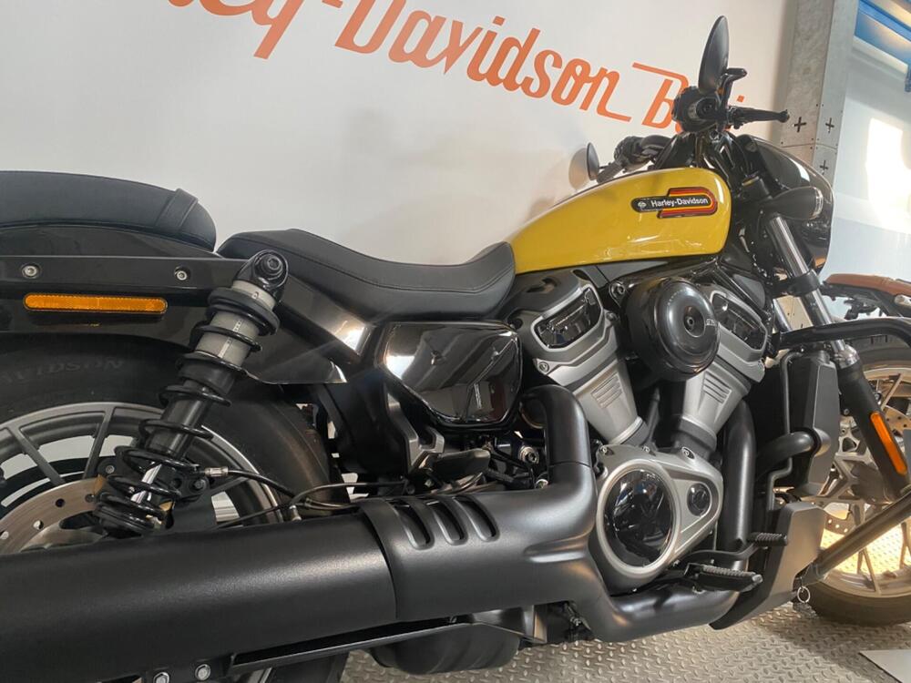 Harley-Davidson Nightster Special (2023 - 24) (2)