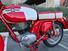 Gilera GIUBILEO 175 EXTRA ROSSO (20)