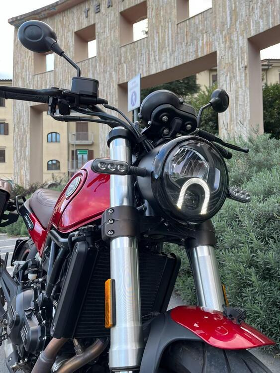 Benelli Leoncino 500 (2021 - 24) (4)