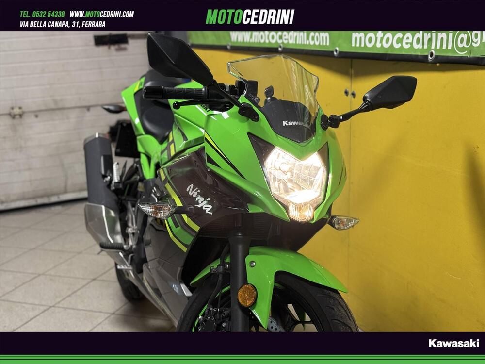 Kawasaki Ninja 125 (2019 - 20) (4)