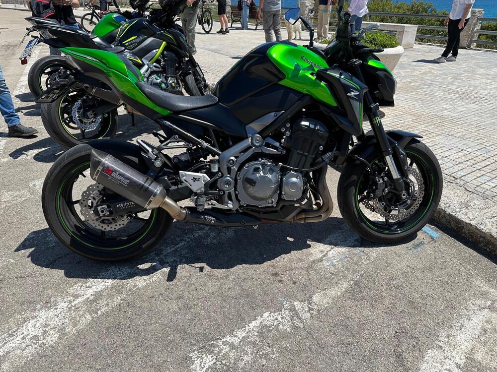 Kawasaki Z 900 (2017 - 18) (2)