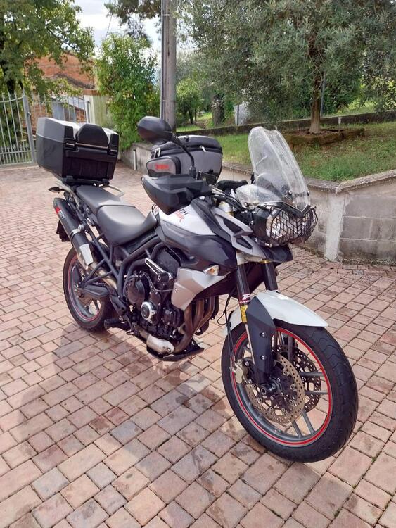 Triumph Tiger 800 ABS (2010 - 14) (3)