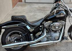 Harley-Davidson 1450 Standard (2002 - 05) - FXSTI usata