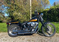 Harley-Davidson 1340 Bad Boy (1995 - 99) usata