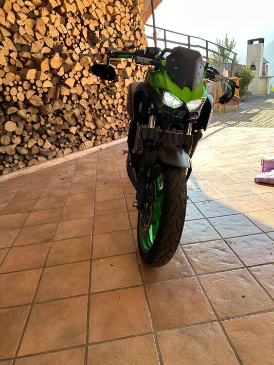 Kawasaki Z 500 SE (2024 - 25) (4)