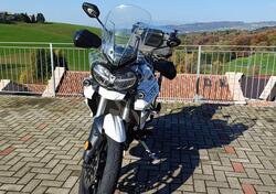 Triumph Tiger 800 XRt (2018 - 20) usata