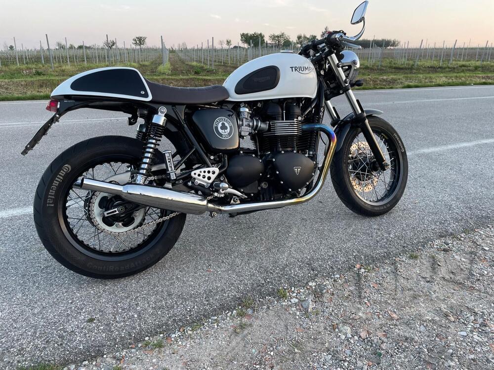 Triumph Thruxton 900 ACE (2014 - 15) (2)