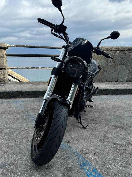 Benelli Leoncino 500 (2021 - 24) (2)