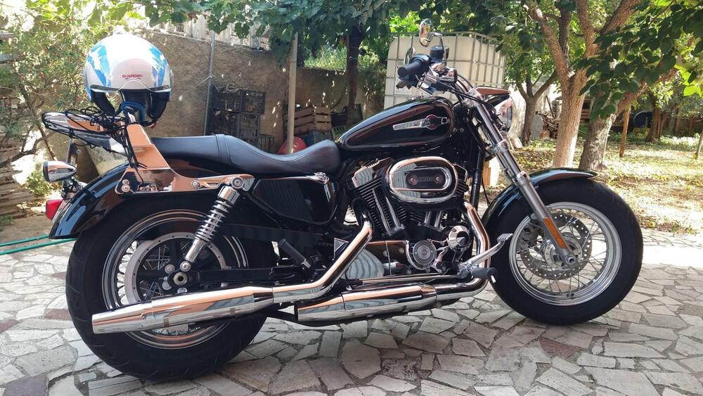 Harley-Davidson 1200 Custom ABS (2014 - 16) - XL 1200C (2)