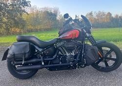 Harley-Davidson Street Bob 114 (2021 - 24) usata