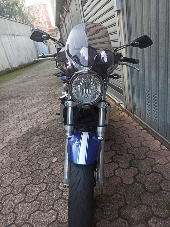 Suzuki SV 650 (1999 - 02) (3)