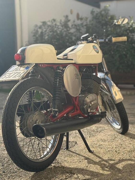 Benelli Café racer  (5)