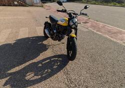 Ducati Scrambler 800 Icon (2015 - 16) usata