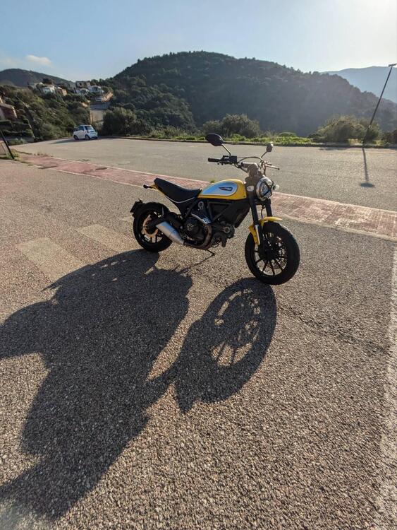 Ducati Scrambler 800 Icon (2015 - 16) (2)