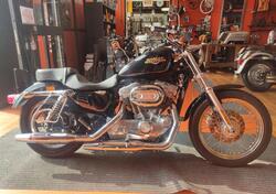 Harley-Davidson 883 Low (2008 - 12) - XL 883L usata