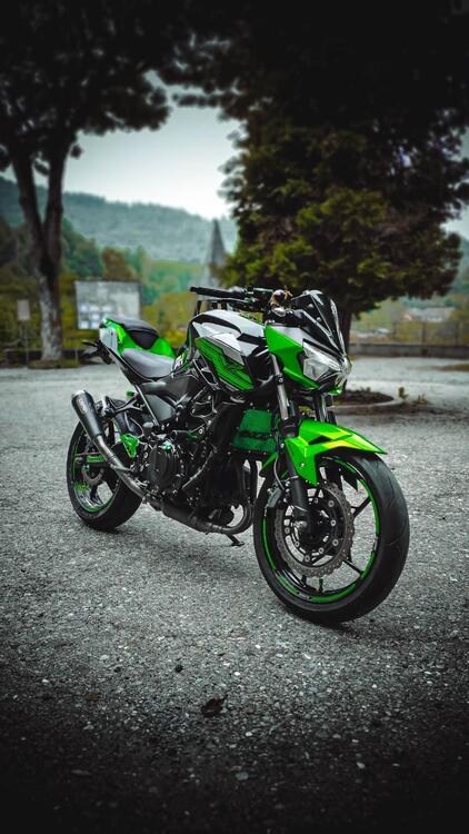 Kawasaki Z 400 (2019 - 20)