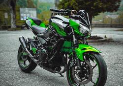 Kawasaki Z 400 (2019 - 20) usata