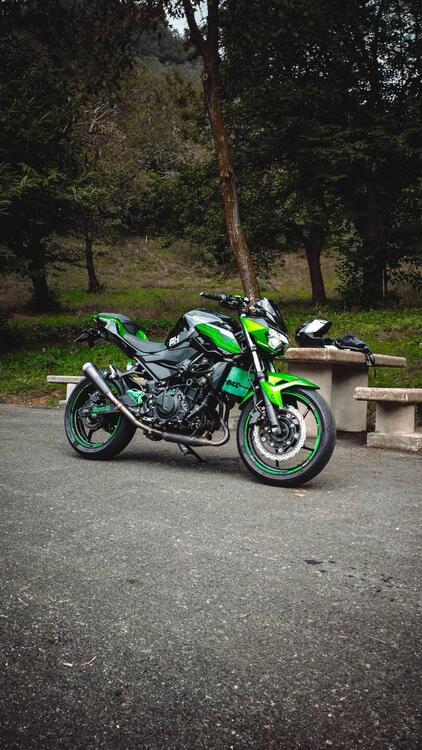 Kawasaki Z 400 (2019 - 20) (2)