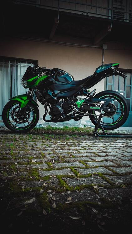 Kawasaki Z 400 (2019 - 20) (3)