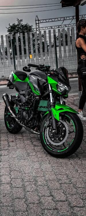 Kawasaki Z 400 (2019 - 20) (5)